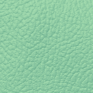 Seafoam Tolex