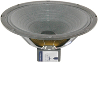 LEGEND 1028K 10" Alnico