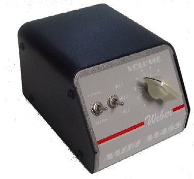 Weber Mini MASS 25 Watt