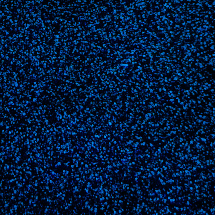 Blue Sparkle